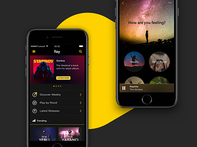 Fizy Mobile App debut dribbble fizy mood music service streaming