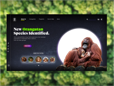 Landing Page Orangutans Design