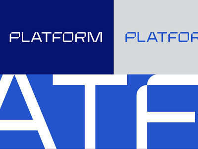 Platform Wordmark bespoke blue brand curve curved details futuristic grey identity lettering logo logotype sans serif type typography white wordmark