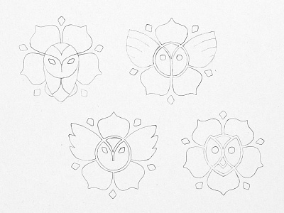 Grad College Logo Sketches bird concept flower logo owl pencil petals rose sketch