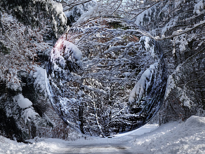 Sphere en verre forest hiver snow