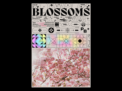 BLOSSOMS design gradient icon illustration poster typography