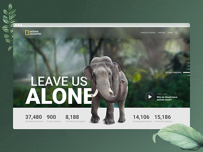 Save Animals - Forest - Hero Section animals danger design elephants forest minimal save animals web wordpress