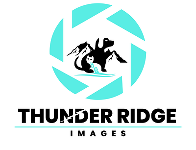 Thunder Ridge Images Logo2 animation design figmaafrica figmadesign illustration logo typography vector