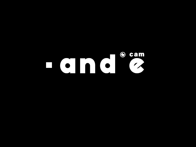 Handie cam animation branding design flat graphic design illustrator logo minimal typography
