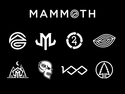 2021 Mammoth Endurance Race Logos