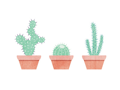 Cacti cacti cactus desert hot illustration plants