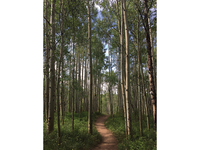 Rainbow Lake Trail