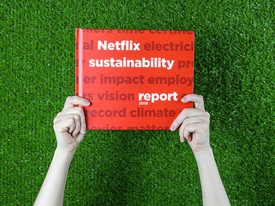 Netflix's CSR Report