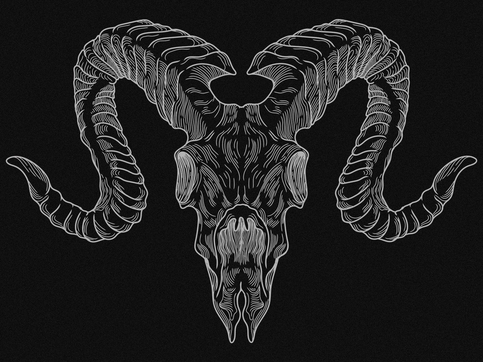 Skull goat linework by galih utama on Dribbble