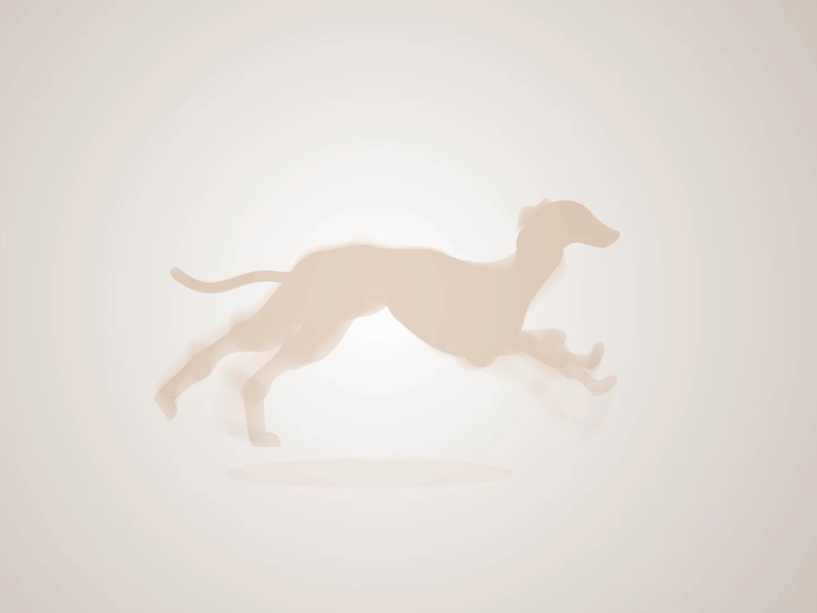 GallUp Dog illustration motion graphic