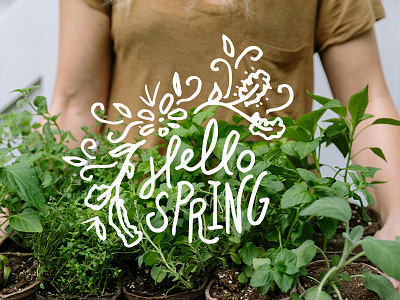 Spring Graphics for Over
