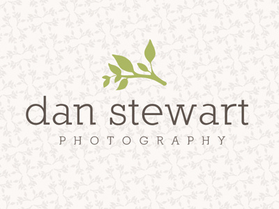 Dan Stewart Rebrand branch brown earth green khaki pattern photography