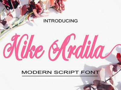 Font Nike Ardila font script bundle