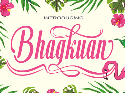 Bhagkuan Font branding design font script font script bundle font script.bundle illustration logo ui ux vector