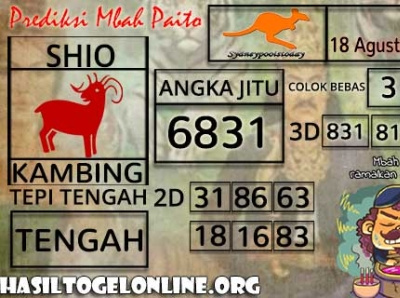 Sindytalita8 Dribbble