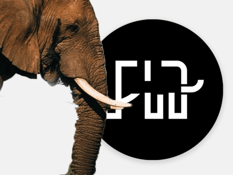 Elephant Logo design awesomelogo dribbble graphicdesign graphicdesigner logo logoawesome logodesign logodesigner logooftheday logos logotype