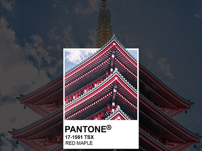 Pantone Swatches