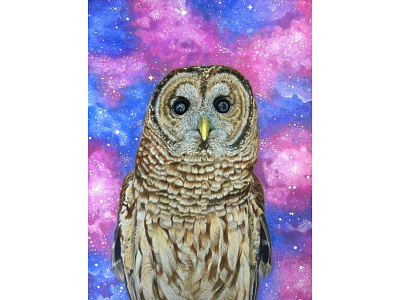 Space Owl acrylic colored pencil fine art illustration mixed media owl space