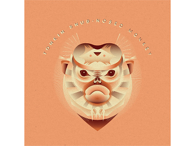 Geometric Monkey Design character geometric illustration illustrator monkey symmetrical symmetry