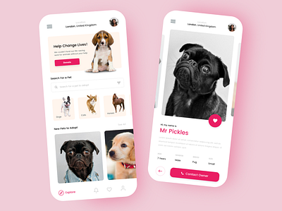 Pet Adotoption App Concept adobe xd app design dailychallenge pets xddailychallenge