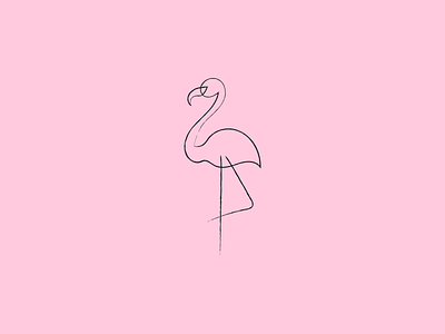 Flamingo illustration design flamingo illustrator vector