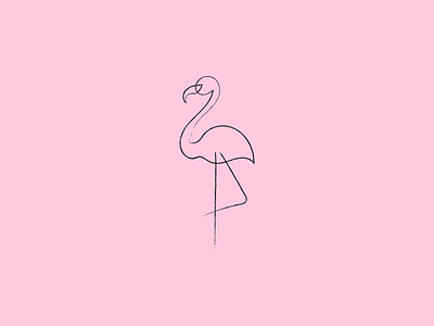 Flamingo illustration