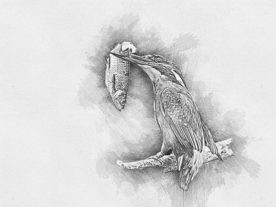 Modern Drawing Sketch drawing drawing effect filter drawing sketch modern drawing pencil sketch effect photoshop action