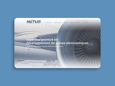 Netur aviation design responsive responsive website ui ux web webdesign website website design