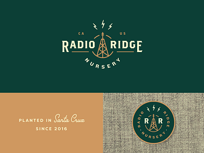 Radio Ridge branding cannabis electricity identity lightning bolt logo logotype marijuana nursery radio