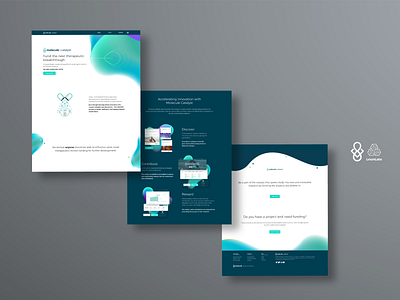 Molecule Catalyst Web App branding brochure design design marketing collateral web design webflow website