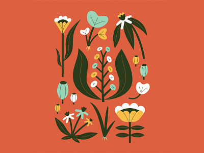 Plant Collection digital illustration flowers illustration leaves plants roots