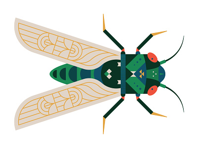 Cicada bug cicada digital illustration illustration insect