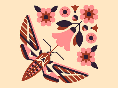 Hummingbird Moth decorative digital illustration flowers geometric hummingbird moth illustration moth