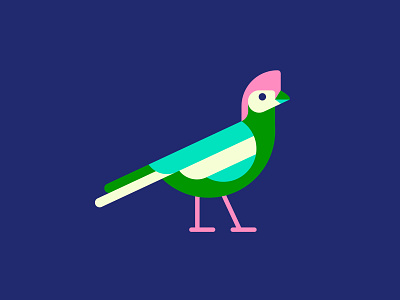 Red-Crusted Turaco bird digital illustration illustration