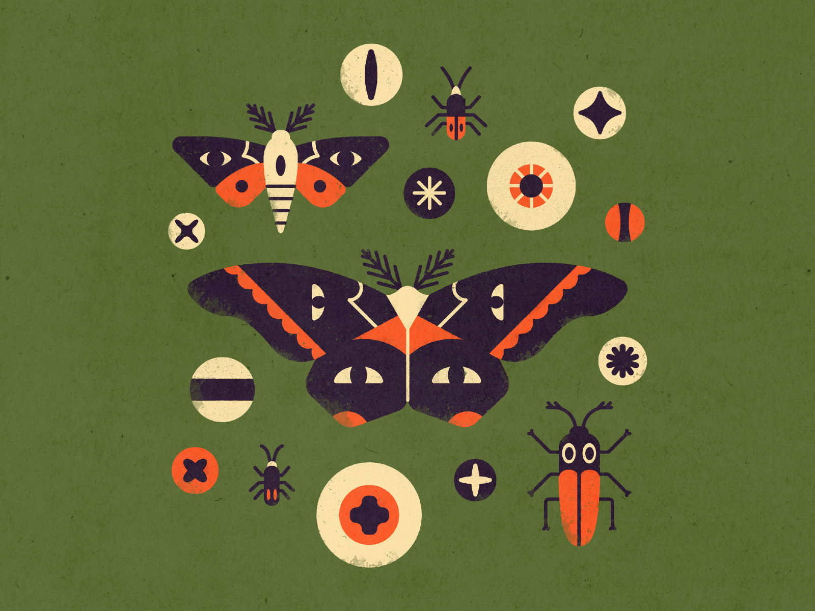 Eyes and Insects by Kim Lawler on Dribbble