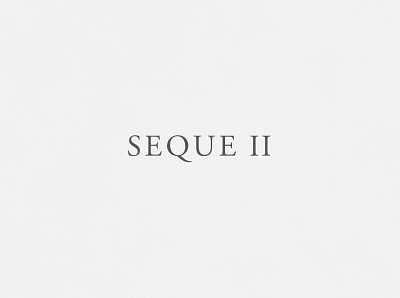 Sequel | Typographical Project film graphics minimal movie sequel serif simple text typography word