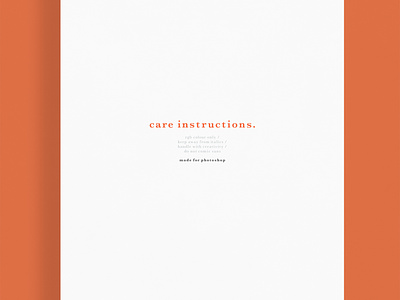 Care Instructions | Typographical Project funny graphics humour minimal parody poster serif simple text typography