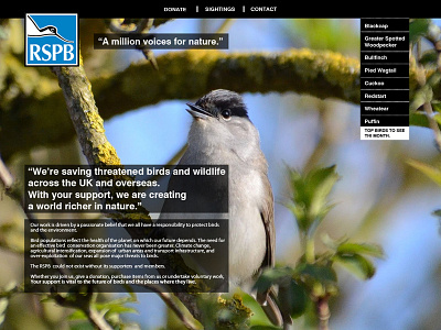 RSPB | Website Redesign birds branding font grid information layout logo page template text website