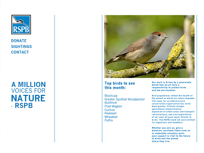 RSPB | Website Redesign birds branding font grid information layout logo page template text website