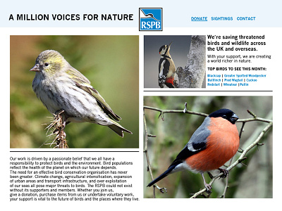 RSPB | Website Redesign birds branding font grid information layout logo page template text website