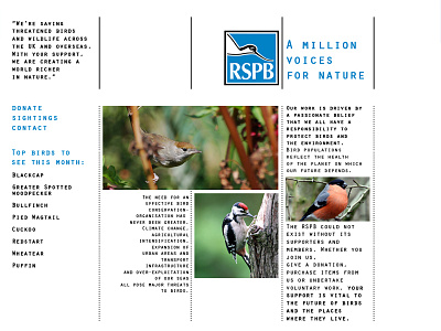 RSPB | Website Redesign birds branding font grid information layout logo page template text website