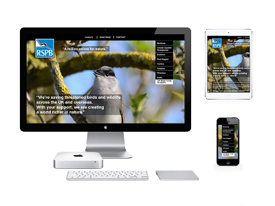 RSPB | Website Redesign birds branding font grid information layout logo page template text website