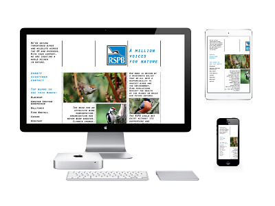 RSPB | Website Redesign birds branding font grid information layout logo page template text website