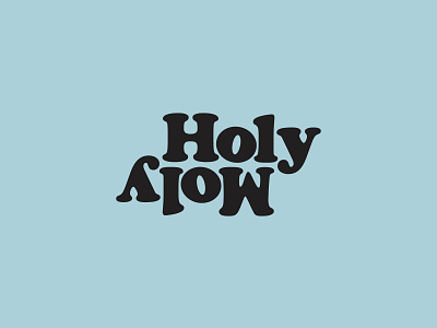 Holy Moly branding design illustration logo