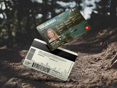 Colorado Drivers License boulder colorado dmv drivers drivers license graphic design id identification identity license mockup
