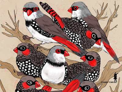 Firetails birds design flock illustration marta tesoro rabbit town art red redbubble traditional