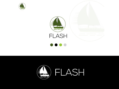 Flash Logo Design 3d animation branding flash graphic design logo logo design motion graphics ui