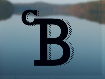 Logo Comp for a Fly Rod Company b blue c fish fly fish fly rod