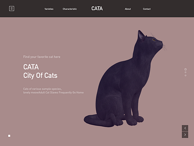 Pet Web Page ui web